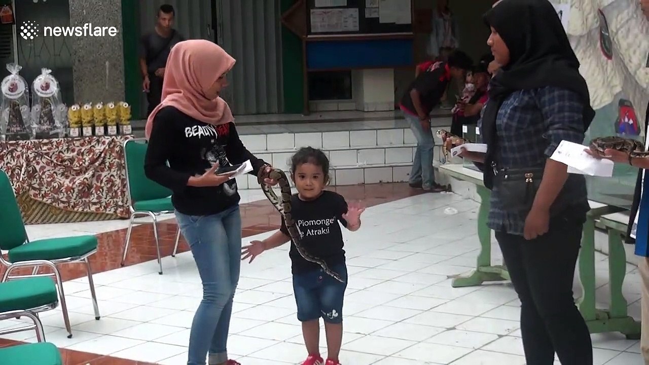 4-year-old girl seen handling live pythons at reptile show in Indonesia