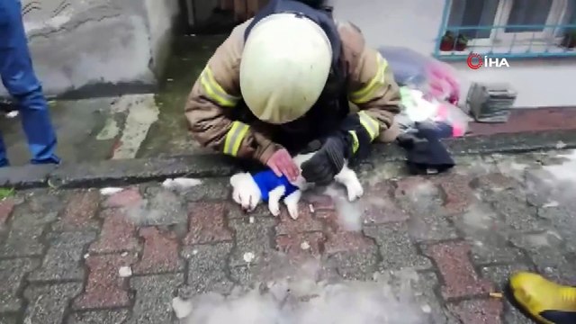 İtfaiyeciden köpeğe kalp masajı ve suni teneffüs