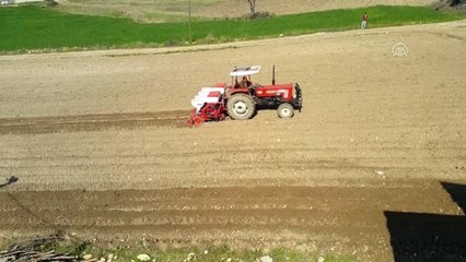 Osmaniye'de Birinci Ürün Mısır Ekimi Başladı