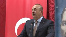 Çavuşoğlu: 