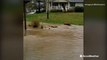 Flash flood turns backyard and neighborhood into river