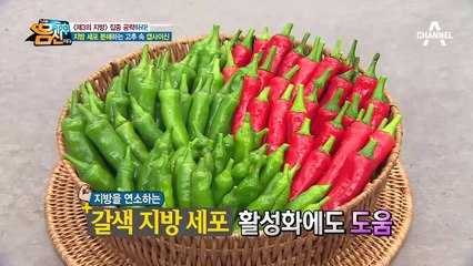 지방 세포를 줄이는 '고추 & 핑거루트' 제3의 지방의 특급 천적!