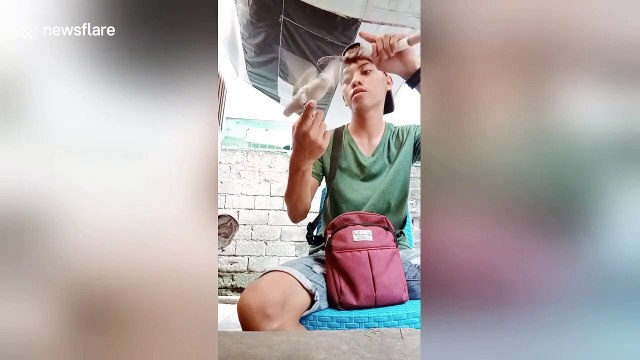 Filipino youth teaches his African lovebird to do impressive tricks