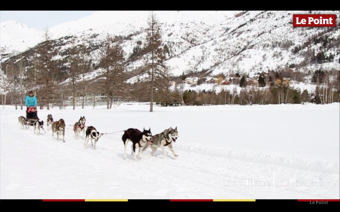 La montagne insolite #3 : les chiens de traîneaux, croc-blanc