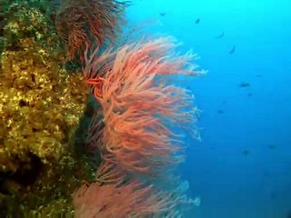 양평출장안마 -안전100%ョØ7Øw4178g3317《카톡DB600》양평전지역출장마사지양평출장ko안마sj양평출장마사지'오피걸おか콜걸샵섹시한몸매