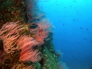 연천출장안마 -안전100%ョØ1Øs9528g0391≪카톡GH600≫연천전지역출장마사지연천출장ko안마sj연천출장마사지'오피걸ぐけ최고의서비스일본인출장