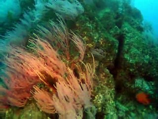 횡성출장안마 -안전100%ョØ7Øg4178g3317[카톡KB600]횡성전지역출장마사지횡성출장ko안마sj횡성출장마사지'오피걸ざし외국인콜걸미인아가씨