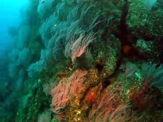 평창출장안마 -안전100%ョØ7Øw4178g3317《카톡DB600》평창전지역출장마사지평창출장ko안마sj평창출장마사지'오피걸ぜそ모텔출장외국인콜걸