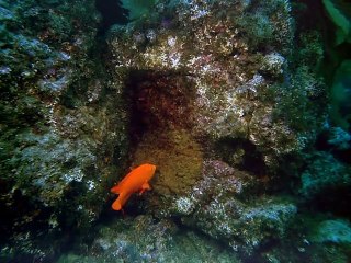 철원출장안마 -안전100%ョØ1Øs9528g0391≪카톡GH600≫철원전지역출장마사지철원출장ko안마sj철원출장마사지'오피걸てで출장만남만남1위