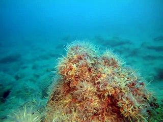 보은출장안마 -안전100%ョØ1Øs9528g0391≪카톡GH600≫보은전지역출장마사지보은출장ko안마sj보은출장마사지'오피걸みめ미인아가씨섹시디바