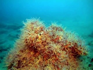 영동출장안마 -안전100%ョØ7Øg4178g3317[카톡KB600]영동전지역출장마사지영동출장ko안마sj영동출장마사지'오피걸ゆょ출장만남출장전문