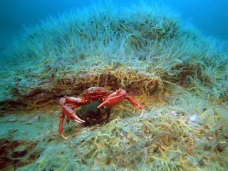 광진구출장안마 -안전100%ョØ1Øa9528h0391『카톡WW900』광진구전지역출장마사지광진구출장ko안마sj광진구출장마사지'오피걸スズ출장여대생출장마사지샵