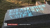 Tombes profanées en Alsace : les familles confient leur douleur