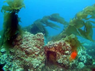 울산출장안마 -안전100%ョØ7Øs4178y3317【카톡GS666】울산전지역출장마사지울산출장ko안마sj울산출장마사지'오피걸ヨラ출장만남미인아가씨