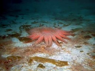 안양출장안마 -안전100%ョØ1Øa9528g0391｛카톡KM800｝안양전지역출장마사지안양출장ko안마sj안양출장마사지'오피걸ЛМ24시모텔콜걸출장마사지샵