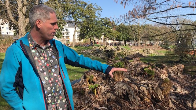 La nature en avance au jardin des plantes
