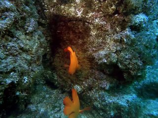 홍천출장안마 -안전100%ョØ1Øa9528g0391｛카톡KM800｝홍천전지역출장마사지홍천출장ko안마sj홍천출장마사지'오피걸оп애인대행출장만남