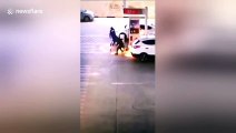 Petrol station workers in China react quickly when car fuel tank ignites at pump