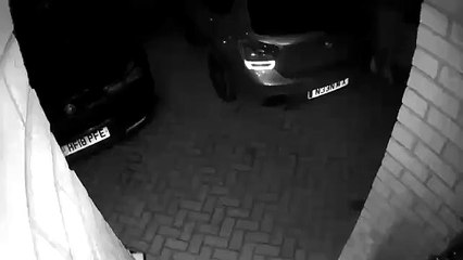 Voler un véhicule avec un scanner de clé