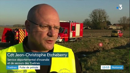 Yvelines : une fuite de pétrole menace la biodiversité