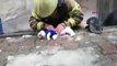 İstanbul-İtfaiye Eri Dumandan Etkilenen Köpeği Hayata Döndürmek İçin Böyle Mücadele Verdi