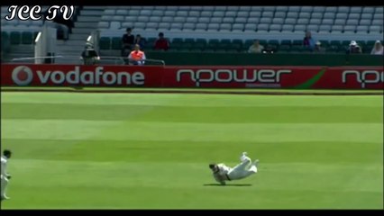 AB de Villiers Silences Ian Bell.