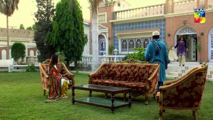 Bisaat e Dil Last Episode HUM TV Drama 26 February 2019