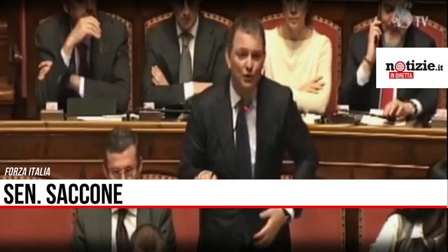 Senato, Saccone di Forza Italia contro Luigi Di Maio Ecco il gilet azzurro, torna a fare lo steward | Notizie.it