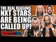 Real Reasons WWE Called Up NXT Stars | WrestleTalk