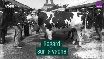 De la Préhistoire à la Vache qui rit : les représentations de la vache