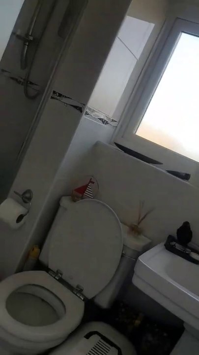 Oiseau coincé dans la salle de bain, elle veut le nourrir avec des graines !