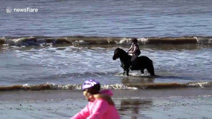 Horse cools off in sea during UK's February heatwave