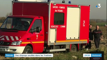 Yvelines : une fuite de pétrole se répand sur des champs agricoles