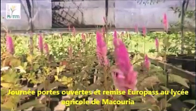 Journée portes ouvertes et remise des Europass au lycée agricole de Macouria (Matiti) 16.02.2019