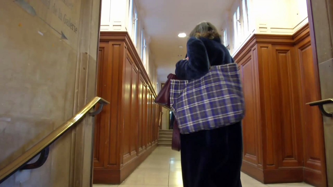 ALEXANDRE BENALLA ET VINCENT CRASE VONT ÊTRE REMIS EN LIBERTÉ SOUS CONTRÔLE JUDICIAIRE