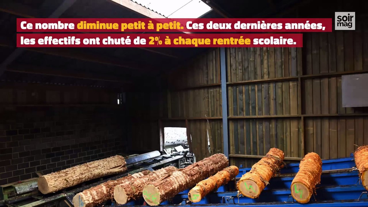 Dans le sillage des futurs ébénistes et menuisiers belges