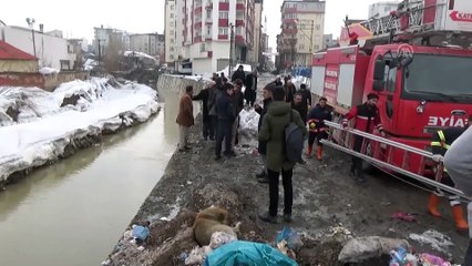 Derede mahsur kalan köpeği itfaiye ekibi kurtardı - HAKKARİ