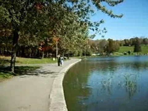 Lac aux castors à Montreal