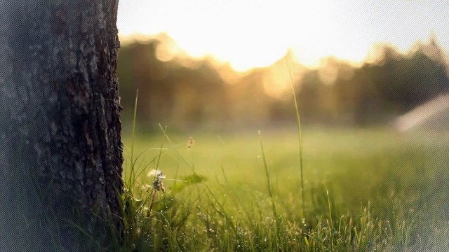 A vendre - Appartement - Bulle (1630) - 3.5 pièces - 90m²