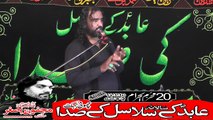 Allama Ata Hussain Kazmi Hathi Vind 20th Muhram 1440(2018) Choti Behak Hafizabad1