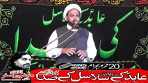 Allama Hassan Jawad Mohsni Qoom Iran 20th Muhram 1440(2018) Choti Behak Hafizabad