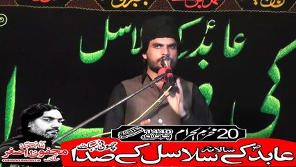 Allama Iftar Ul Hassan Al Hussaini Melsi  20th Muhram 1440(2018) Choti Behak Hafizabad