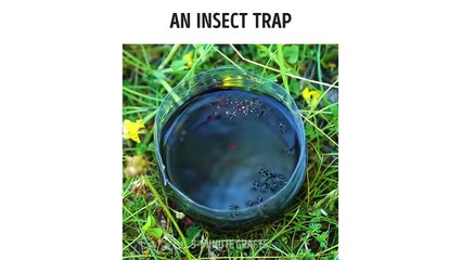 Phone charging life hacks nnever think it will hapen.2019