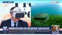 En immersion ! L'équipe de la matinale s'évade dans une réserve sauvage en testant la réalité virtuelle