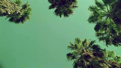 연서출장마사지 -후불100%ョØ1Ø-2703-7745【카톡VVV75】→#K# 연서출장안마 연서출장샵 연서오피 연서출장전문업소 연서출장안마추천 연서콜걸 で연서출장맛사지