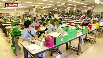 Vignobles : l’inquiétude monte à l'approche du Brexit