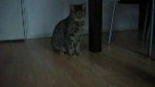 RMOV3963