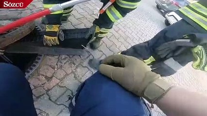 Rögar kapağına sıkışan aşırı kilolu sıçan kurtarıldı