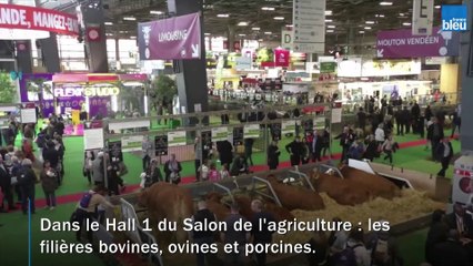 La région Nouvelle-Aquitaine s'expose au Salon de l'agriculture