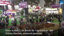 La région Nouvelle-Aquitaine s'expose au Salon de l'agriculture